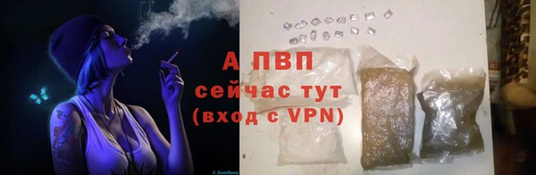 mdpv Белокуриха