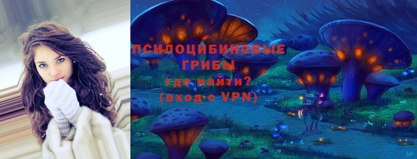 mdpv Белокуриха