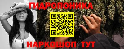 mdpv Кандалакша