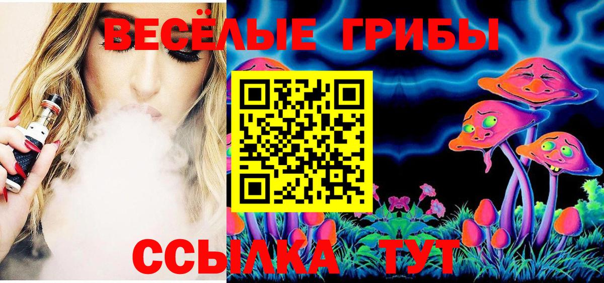 Дагестанские Огни  Псилоцибиновые грибы прущие грибы  Псилоцибиновые грибы Cubensis  Вход с VPN 